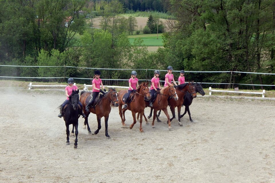 Reitclub Georgsberg - Impression #1