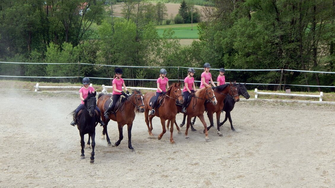 Reitclub Georgsberg - Impressionen #2.3