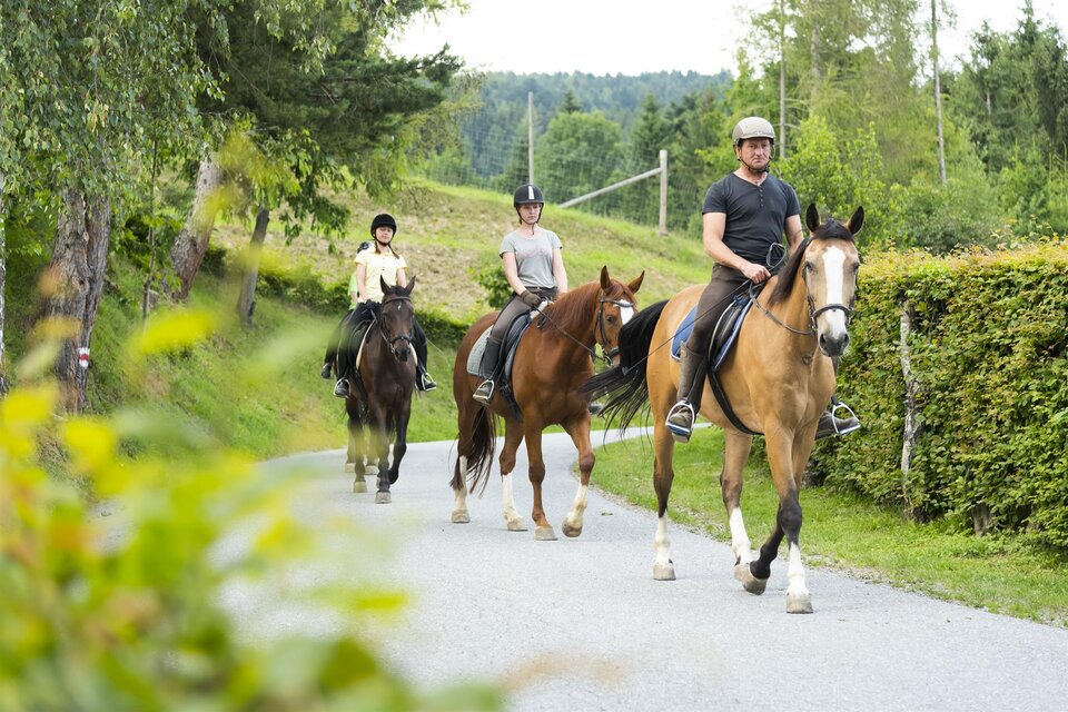 Reiten Hotel Muhr - Impression #1 | © Hotel Muhr