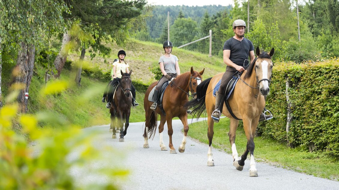 Drei Reiterinnen und Reiter reiten entspannt auf einem schmalen Weg durch eine grüne Landschaft. Neben dem Weg sind Bäume und Büsche zu sehen. | © Hotel Muhr
