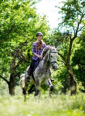 Reiten | © TV Murau | Tom Lamm | © Tourismusverband Murau