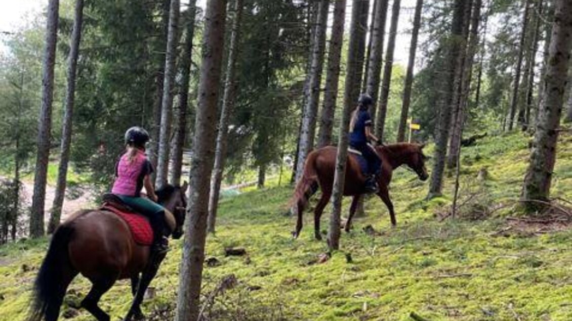 Zwei Reiterinnen reiten auf ihren Pferden durch einen grünen Wald. Der Boden ist mit Moos bedeckt und die Bäume bieten Schatten. | © Hirzhof