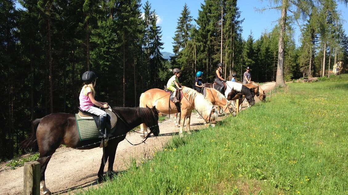 Eine Gruppe von Reitern auf einem Waldweg. Sie genießen einen Ausritt in der Natur. | © Reiterhof Brandstätter