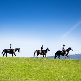 Reiten Zeutschach | © Tourismusverband Murau