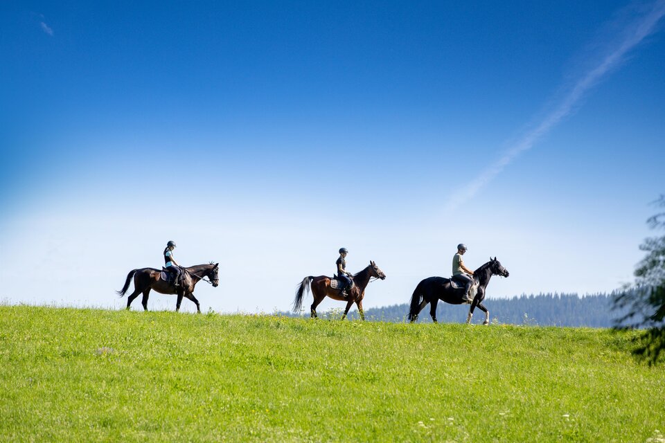 Riding at the Naturpark - Impression #1 | © Tourismusverband Murau