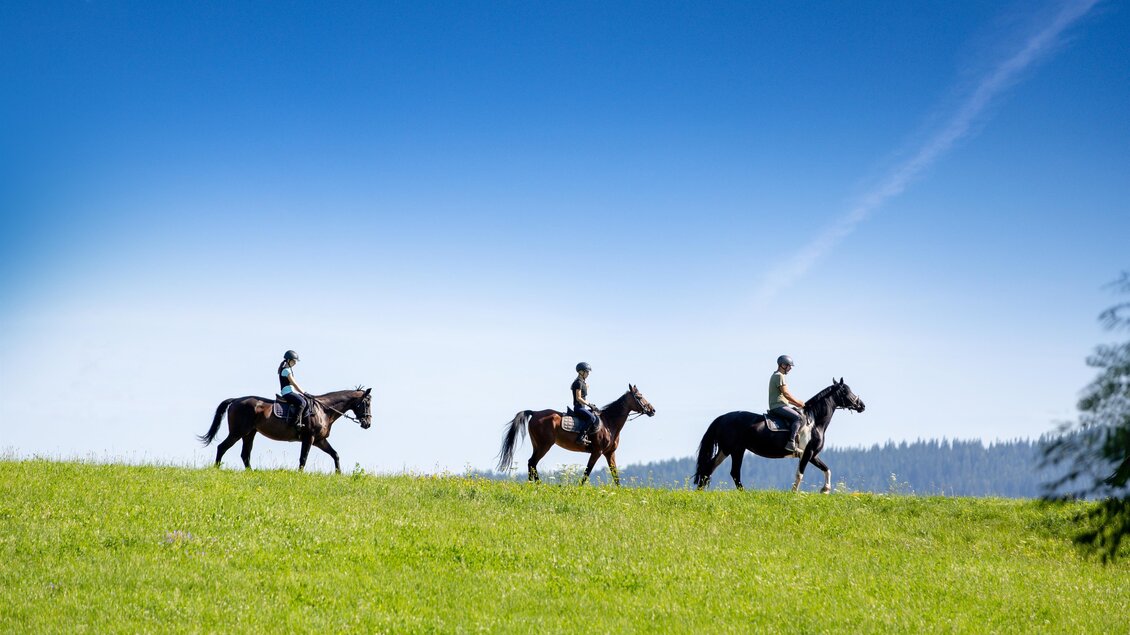 Reiten Zeutschach | © Tourismusverband Murau