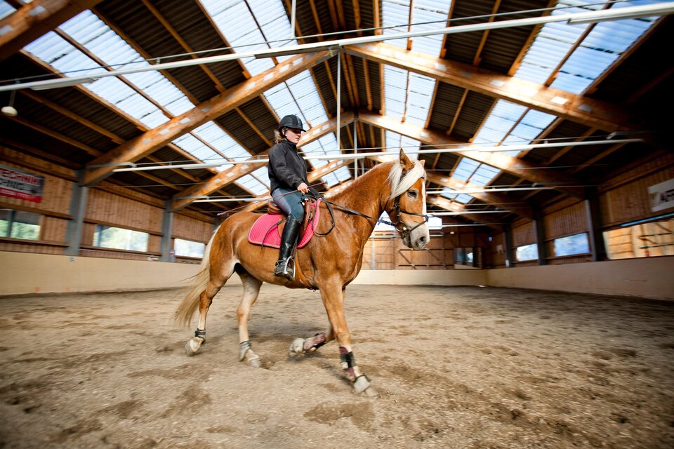 Riding hall Schöder - Impression #1 | © Holzwelt Murau