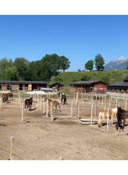 Reitplatz | © Reitsportzentrum Dunner