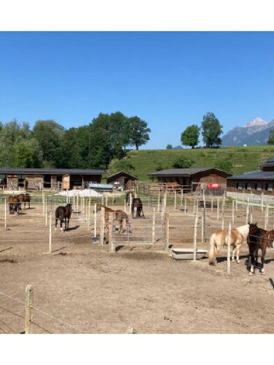 Eine Reitschule mit mehreren Pferden, die in einem eingezäunten Bereich stehen. Im Hintergrund sind Häuser und grüne Bäume sowie Berglandschaften sichtbar. | © Reitsportzentrum Dunner