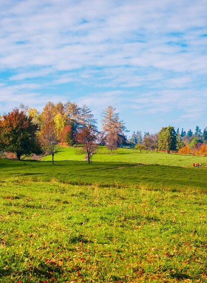 Naturpark Südsteiermark_Remschnigalm | TV Südsteeiermark | © RMSW GmbH webquartier
