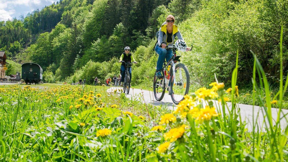 Zwei Radfahrer fahren auf einem Radweg durch eine grüne Landschaft. Bunte Blumen blühen am Wegesrand. | © Naturpark Mürzer Oberland