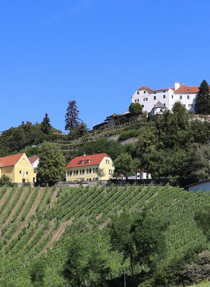 Gesamtansicht | © Schloss Kapfenstein