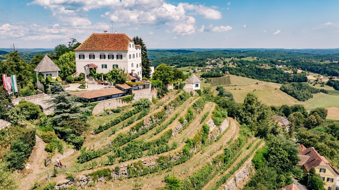 Blick auf Schloss Kapfenstein | © Thermen- & Vulkanland