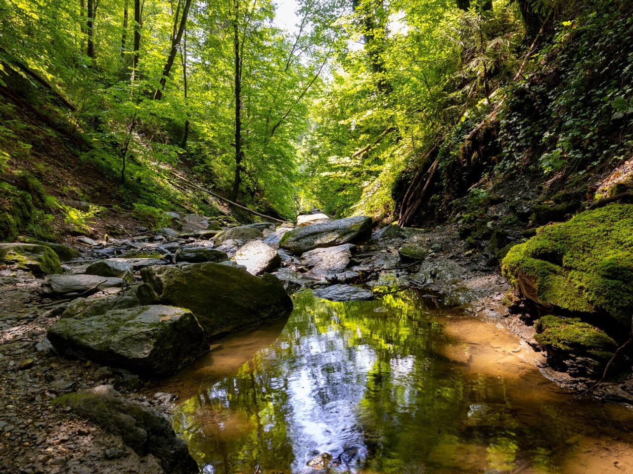Wanderpfad durch die Rettenbachklamm bei Graz | © Graz Tourismus-Harry Schiffer