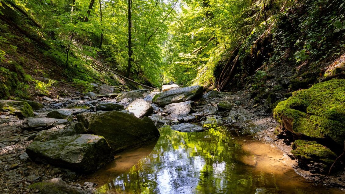 Wanderpfad durch die Rettenbachklamm bei Graz | © Graz Tourismus-Harry Schiffer