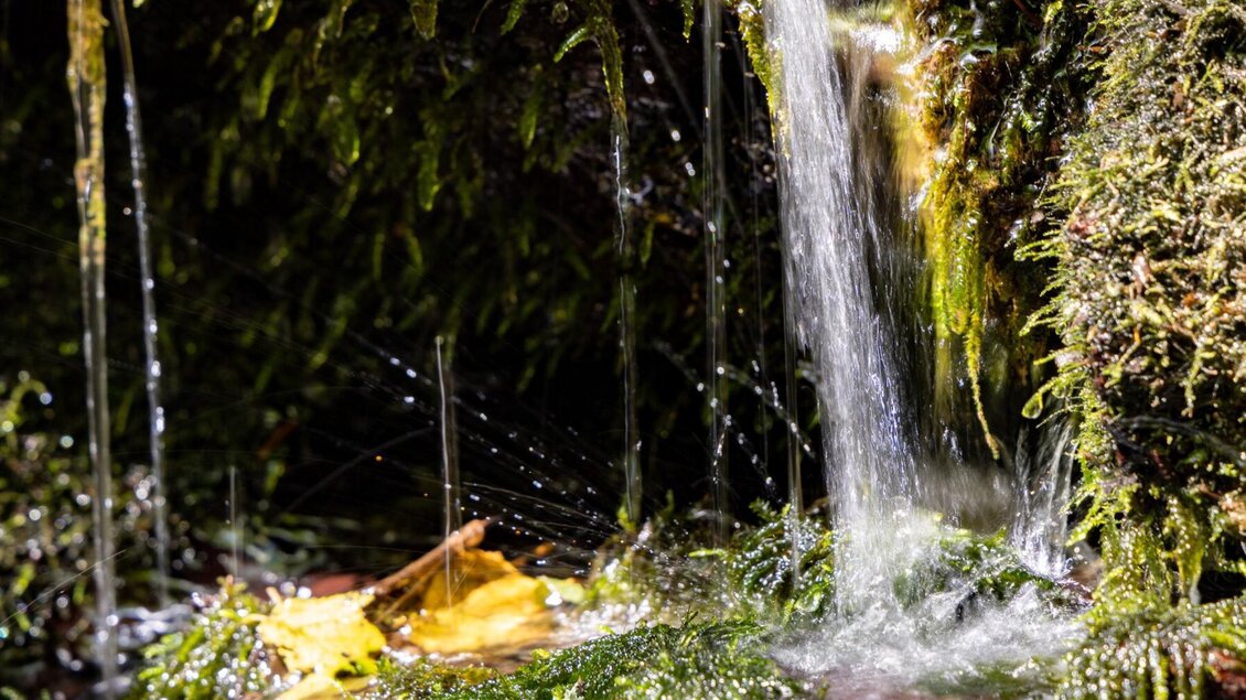 Quellwasser über Moos in der Rettenbachklamm | © Graz Tourismus-Harry Schiffer