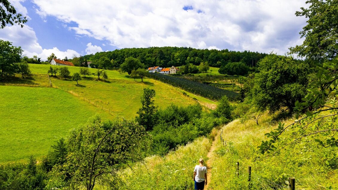 Wanderung von der Rettenbachklamm zur Platte | © Graz Tourismus-Harry Schiffer