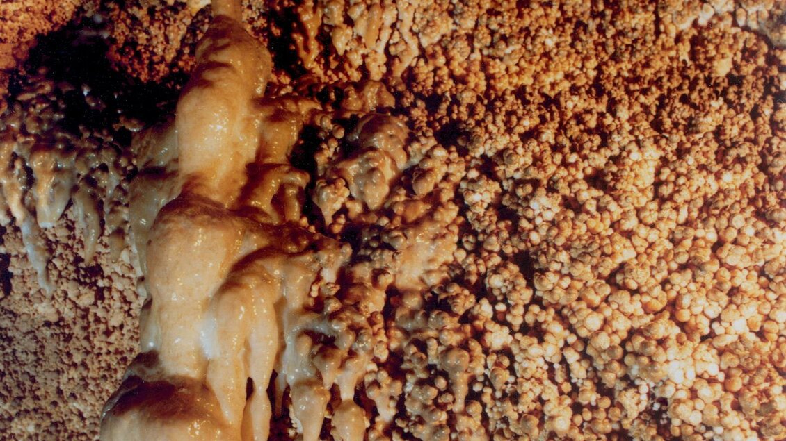 Eine faszinierende Höhlenwand mit Stalaktiten und Stalagmiten. Die Oberfläche zeigt verschiedene mineralische Strukturen und Farben. | © Fritz Bayerl