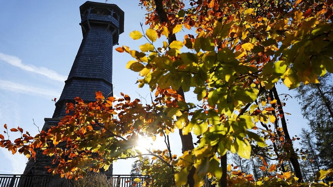 Ein Aussichtsturm umgeben von bunten Herbstblättern. Die Sonne scheint durch die Blätter und sorgt für eine warme Atmosphäre. | © Tourismusverband Oststeiermark