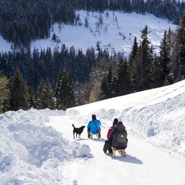 Rodelbahn Lachtal | © Tourismusverband Murau