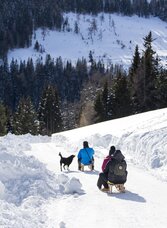 Rodelbahn Lachtal | © TV Murau | Tom Lamm | © Tourismusverband Murau