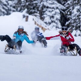 Rodeln Salzstiegl | © Tourismus Salzstiegl - Tom Lamm