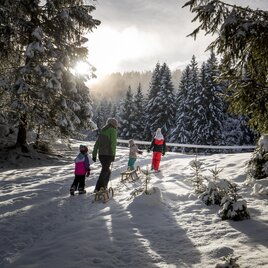 Rodeln | © Steiermark Tourismus