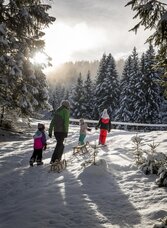 Rodeln | © Steiermark Tourismus | Tom Lamm | © Steiermark Tourismus