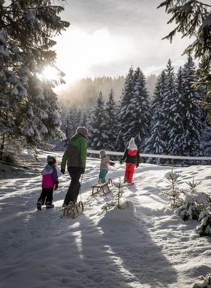 Rodeln | Tom Lamm | © Steiermark Tourismus