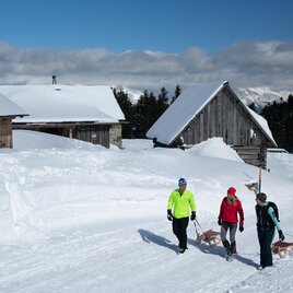 Rodeln-Hohentauern-Murtal-Steiermark | © Erlebnisregion Murtal