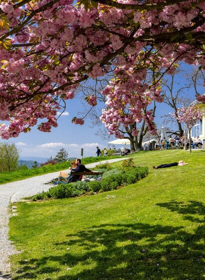 Blütenpracht & Ausblick, Frühling am Rosenhain | © Graz Tourismus-Harry Schiffer