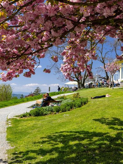 Blütenpracht & Ausblick, Frühling am Rosenhain | © Graz Tourismus-Harry Schiffer