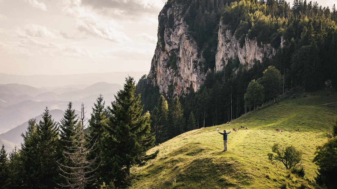 Eine beeindruckende Berglandschaft mit grünen Wiesen und hohen Felsen. Eine Person steht auf einem Hügel und genießt die Aussicht. | © Oststeiermark Tourismus