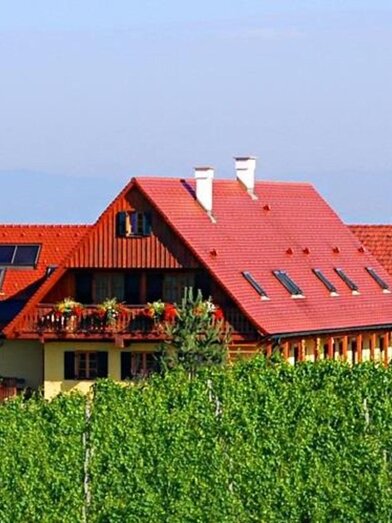 Weingut - Winzerzimmer - Buschenschank Rothschädl | © Margit & Anton Rothschädl | Weingut Rothschädl | Margit & Anton Rothschädl | © Margit & Anton Rothschädl | Weingut Rothschädl