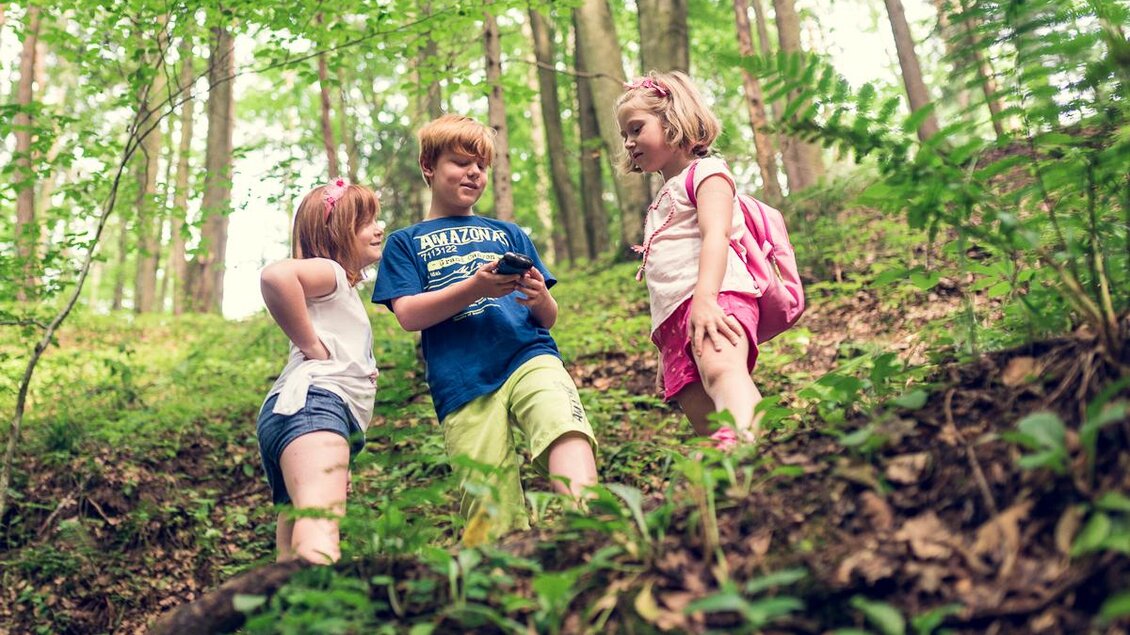 Drei Kinder stehen im Wald und schauen auf ein Smartphone. Es ist eine grüne, natürliche Umgebung mit vielen Bäumen und Pflanzen.