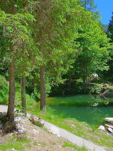 <p><p>A quiet pond of Sagtümpel, surrounded by lush greenery and tall trees in Tauplitz. A small waterfall gently flows into the pond.</p></p> | © TVB Ausseerland Salzkammergut/Robert Seebacher