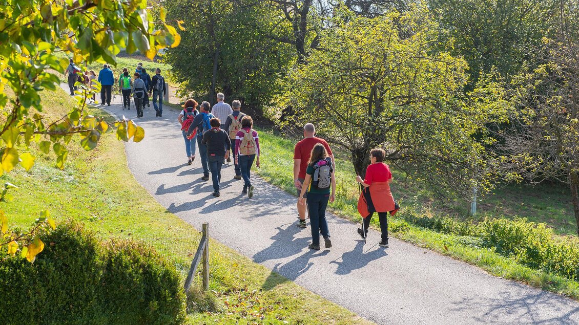 Eine Gruppe von Menschen geht auf einem Weg durch eine grüne Landschaft. Die Sonne scheint und Bäume umgeben den Pfad. | © ©Helmut Schweighofer
