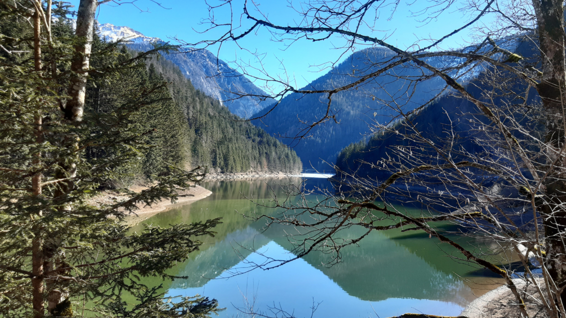 <p>Der ruhige Salza-Staussee, umgeben von hohen Bäumen und majestätischen Bergen des Ausseerlandes. Der klare Himmel spiegelt sich im Wasser.</p> | © Daniela Casari