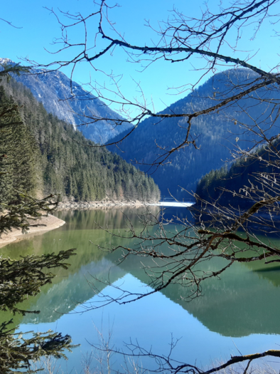 <p>Der ruhige Salza-Staussee, umgeben von hohen Bäumen und majestätischen Bergen des Ausseerlandes. Der klare Himmel spiegelt sich im Wasser.</p> | © Daniela Casari