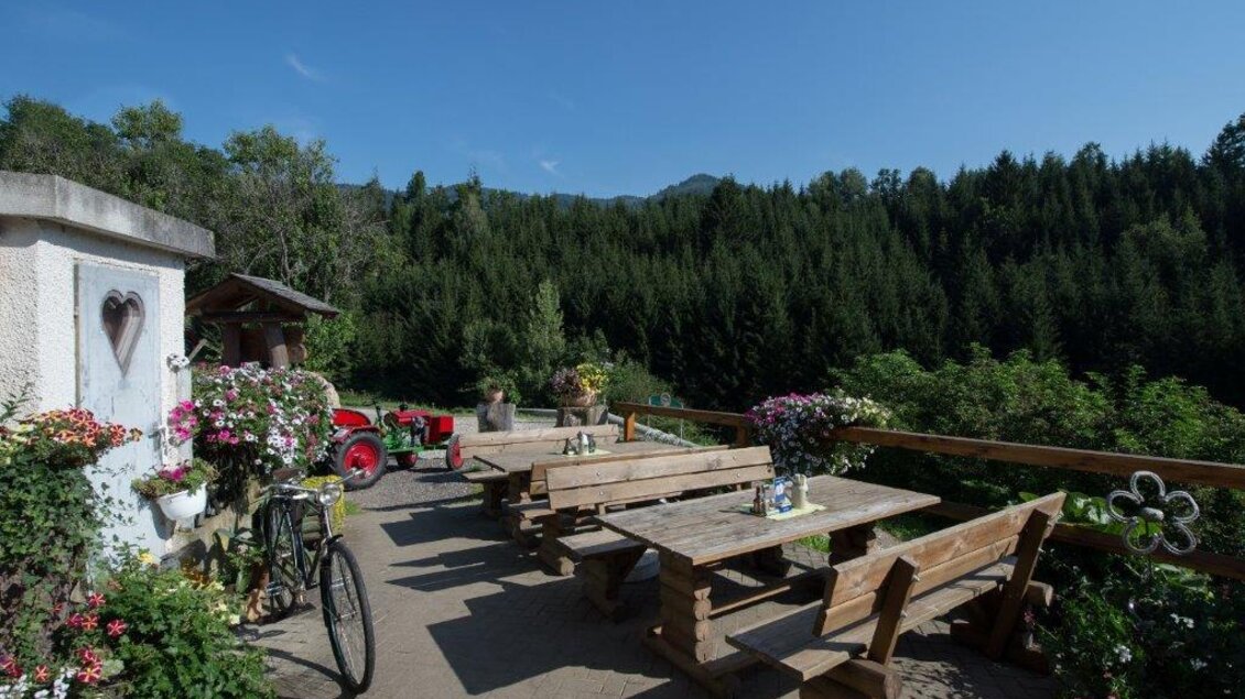 Ein gemütlicher Außenbereich mit Holztischen und Bänken, umgeben von bunten Blumen. Im Hintergrund sind dichte Wälder und ein klarer blauer Himmel zu sehen.