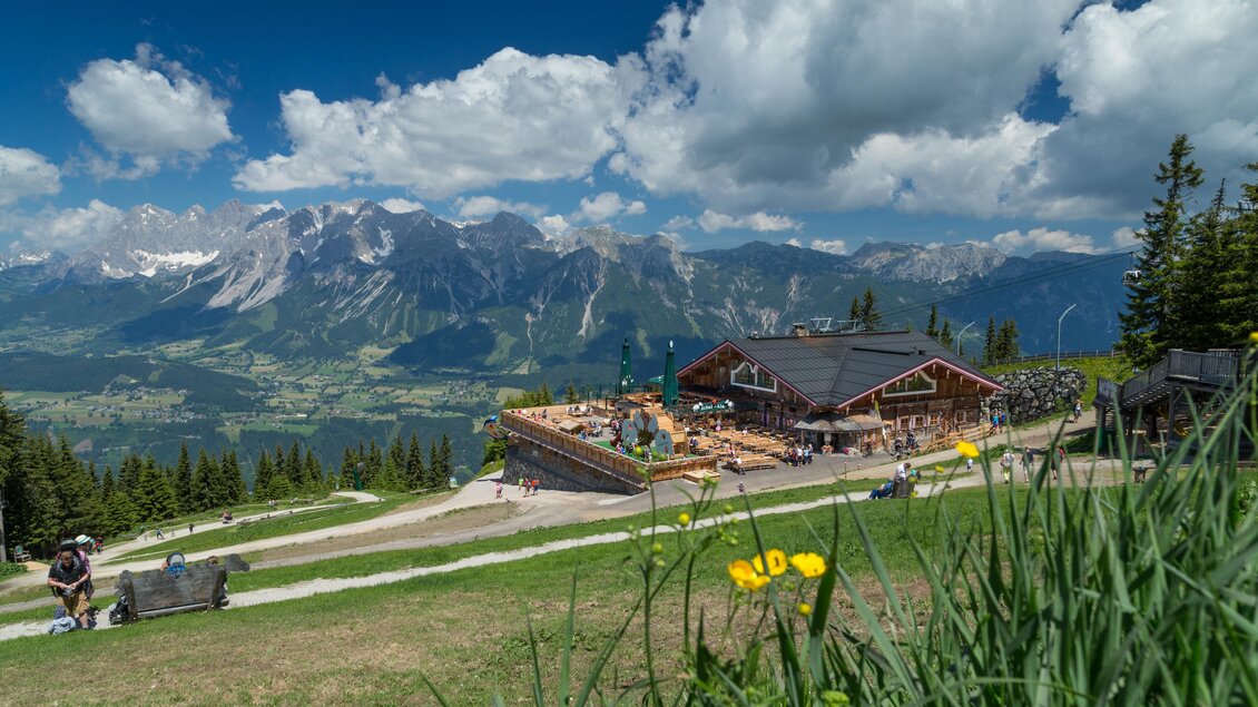 Die Schafalm auf 1.800m Seehöhe in der Region Schladming-Dachstein im Sommer | © Harald Steiner Fotografie