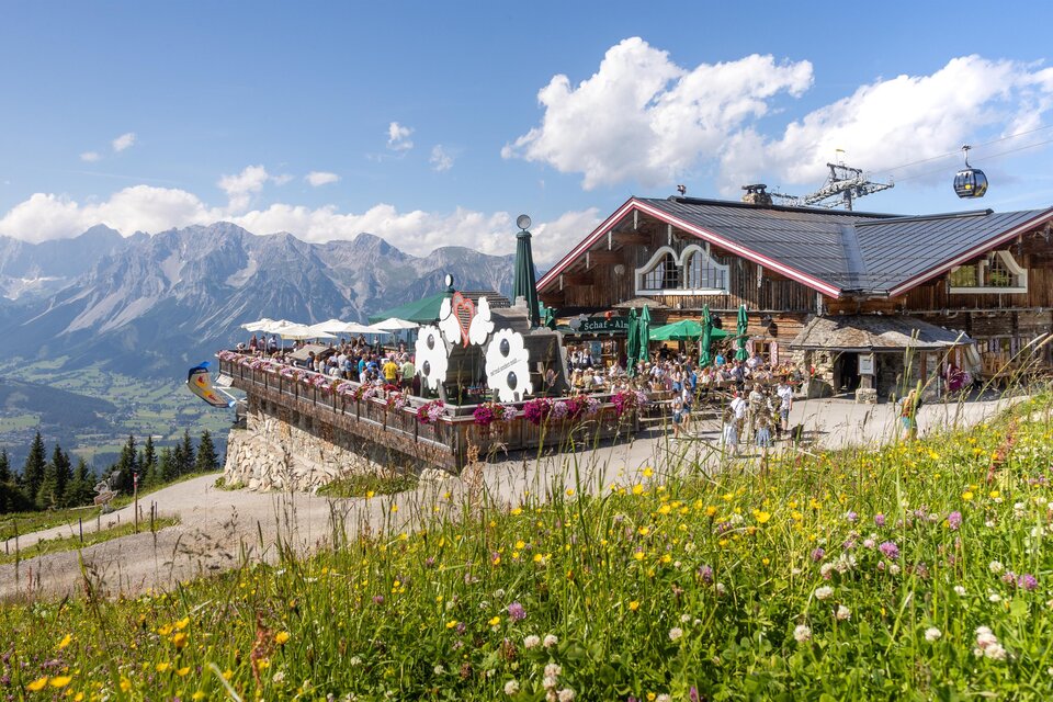 Schafalm - Impression #1 | © Harald Steiner Fotografie