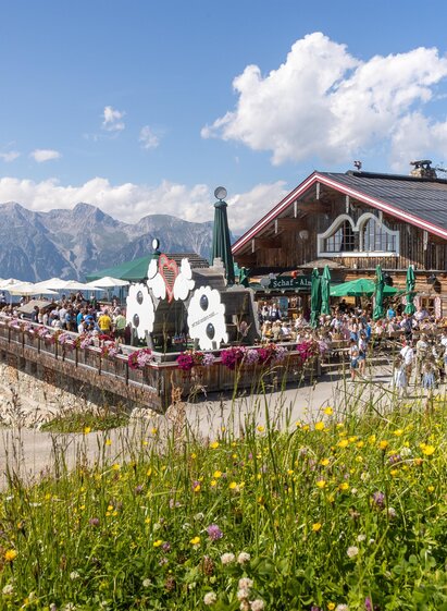 Schafalm Planai - Region Schladming-Dachstein | Harald Steiner Fotografie | © Harald Steiner Fotografie