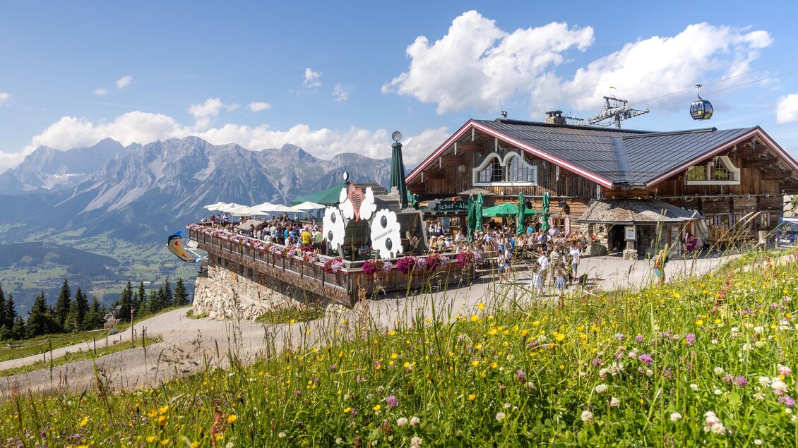 Schafalm Planai - Region Schladming-Dachstein | © Harald Steiner Fotografie