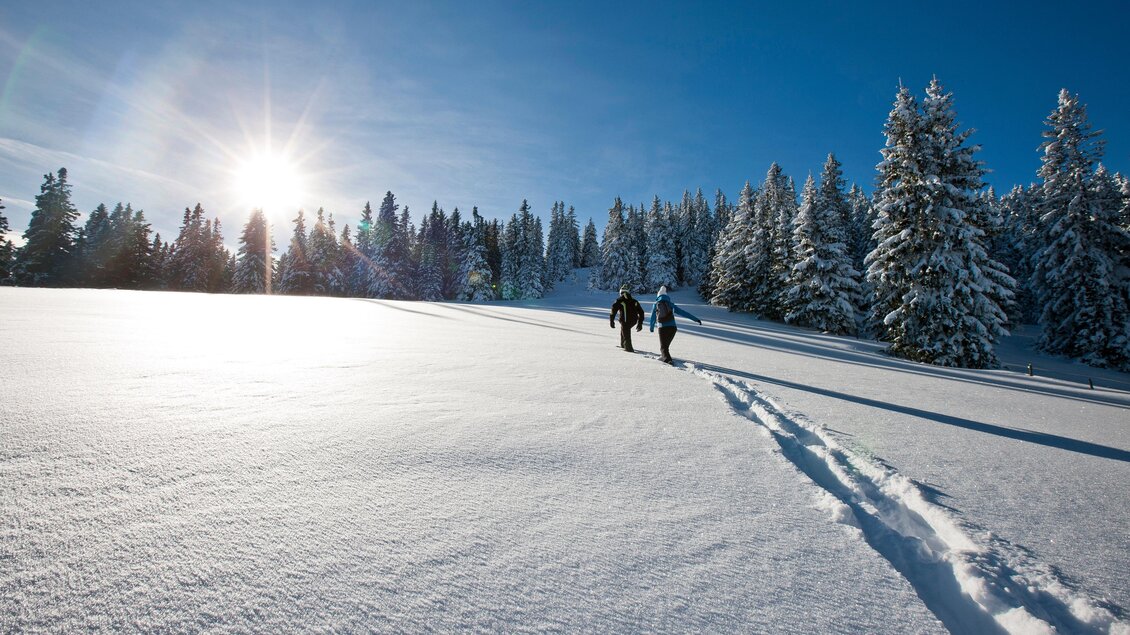 Skiarea Salzstiegl - Impressionen #2.3