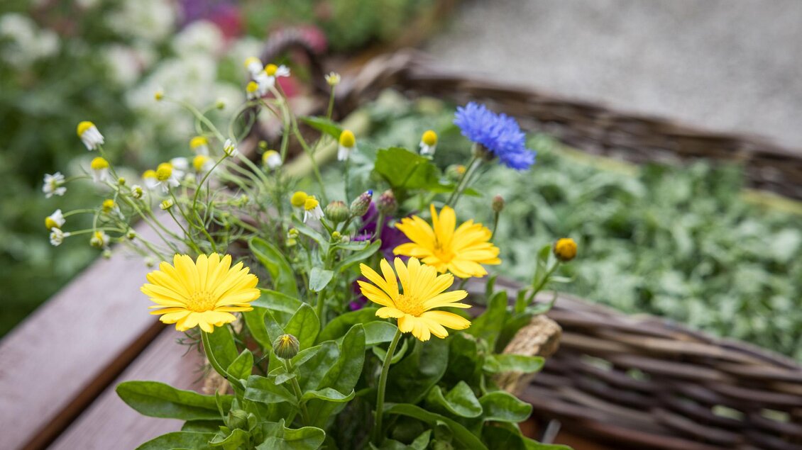 Ein schöner Blumenstrauß mit gelben und blauen Blumen in einem Korb. Im Hintergrund sind grüne Pflanzen zu sehen. | © wildbild