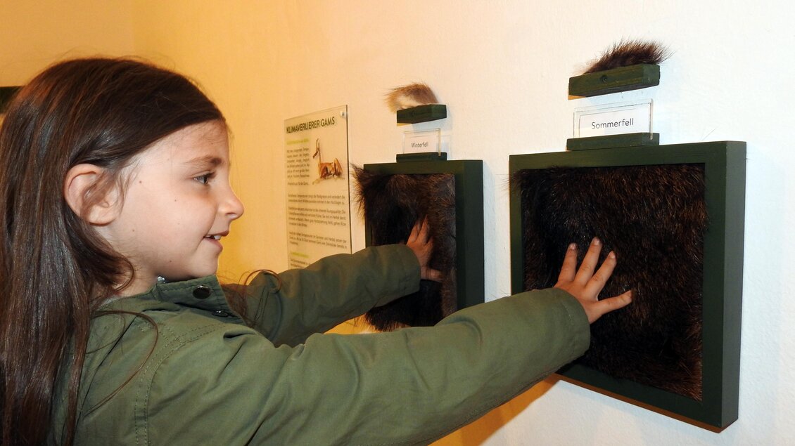 Ein Mädchen berührt zwei Kästen mit Tierfell in einem Ausstellungsraum. Die Kästen sind beschriftet und laden zur Interaktion ein. | © Naturpark Sölktäler