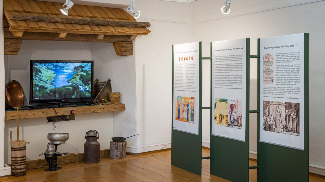 Ein Ausstellungsraum mit Informationsplakaten und einem Bildschirm. Im Hintergrund sind verschiedene Objekte auf einem Holzregal zu sehen. | © wildbild