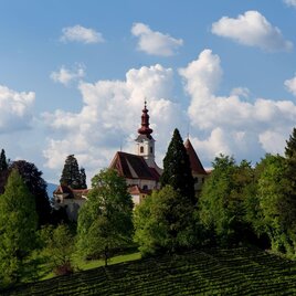A picturesque church surrounded by green trees and vineyards. The sky is clear with some white clouds. | © Federico Felini