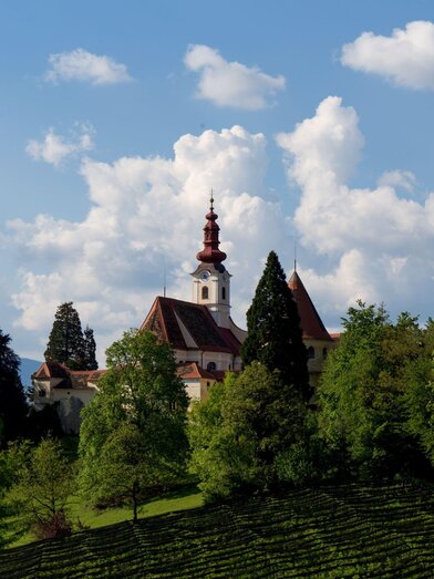 Schloss Hollenegg1 | Schloss Hollenegg | © Federico Felini